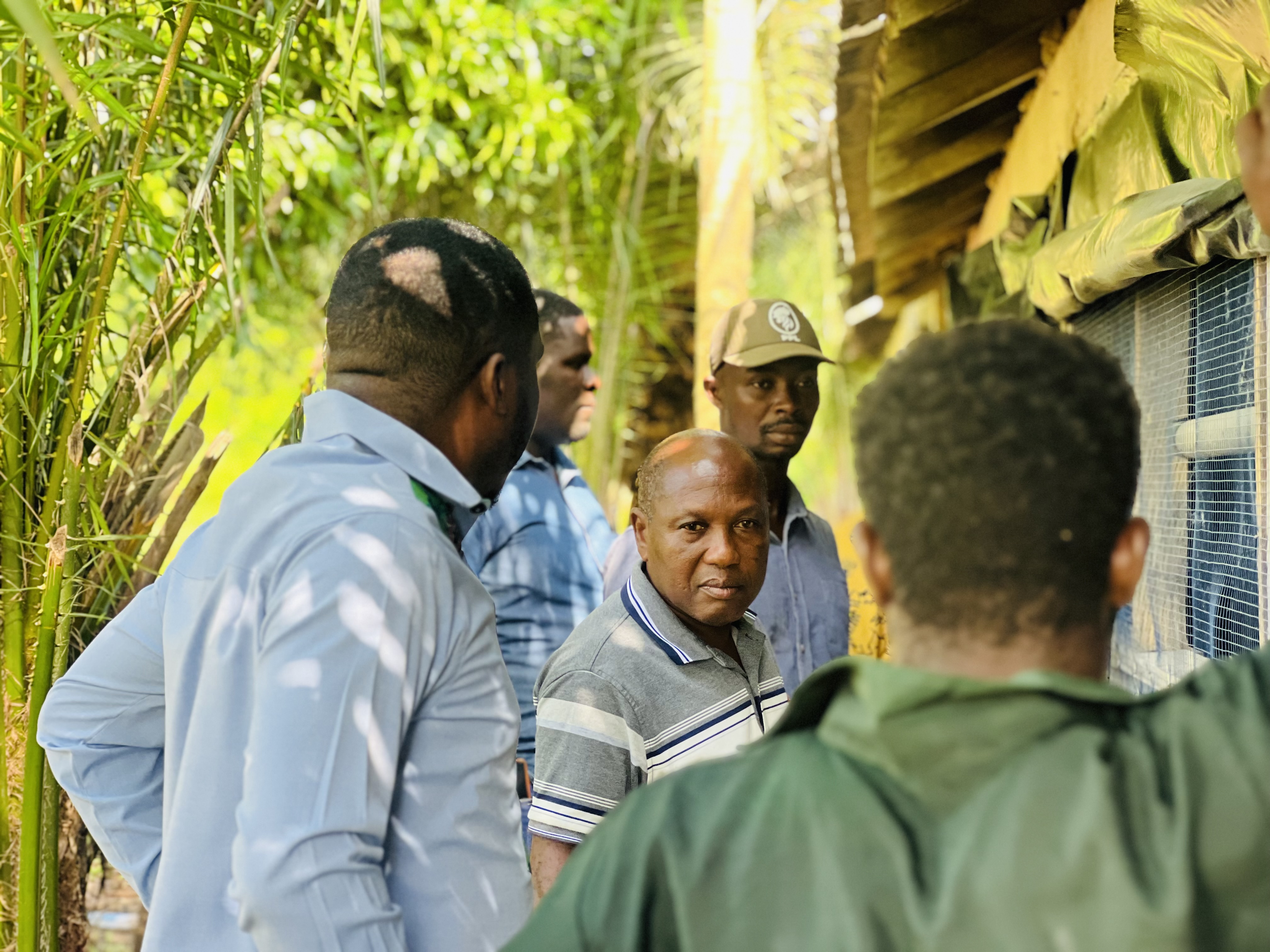 Hon. Edem Agbana inspects 10,000 Chicks Under the Nkoko Nkitinkiti Initiative