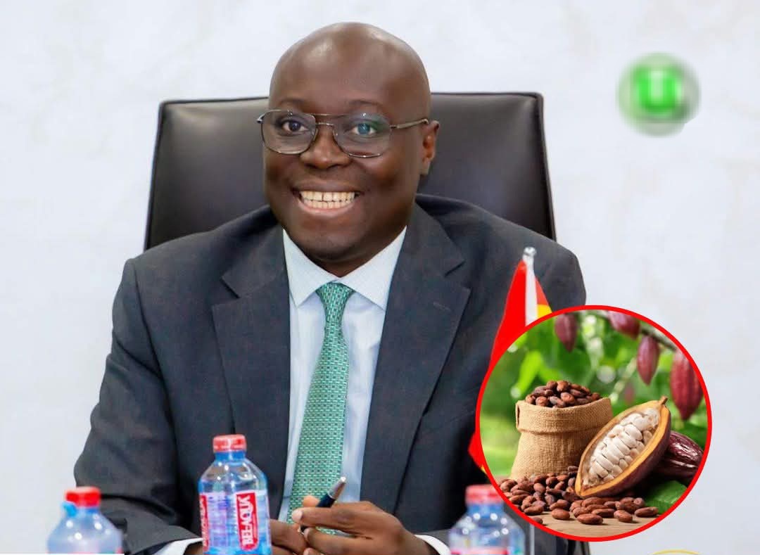 Cocoa Power Alliance: Finance Minister Champions Deeper Ties at 7th CIGCI Steering Meeting in Abidjan!