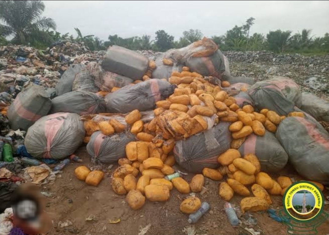 Massive Drug Bust in Volta: NACOC Seizes Over 2 Tonnes of Cannabis – Cartels Exposed