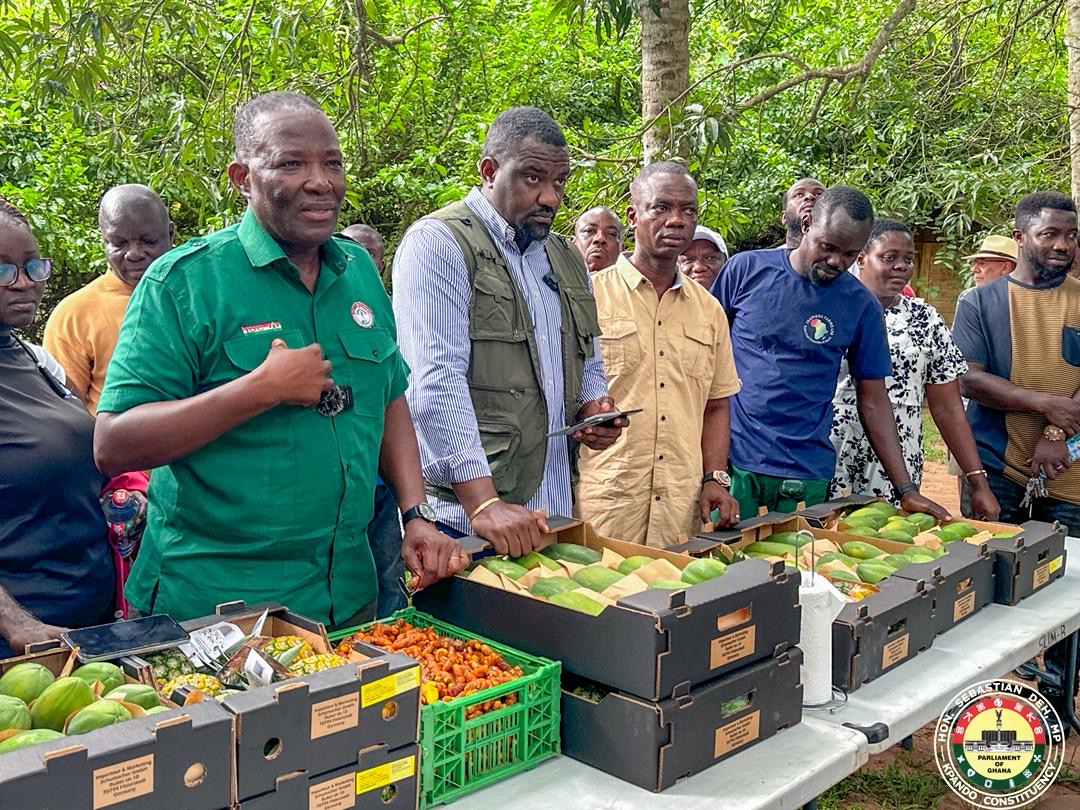 Hon. Sebastian Deh and Deputy Agriculture Minister Tours Key Agribusiness Projects in Kpando