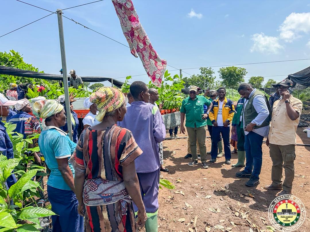 Hon. Sebastian Deh and Deputy Agriculture Minister Tours Key Agribusiness Projects in Kpando
