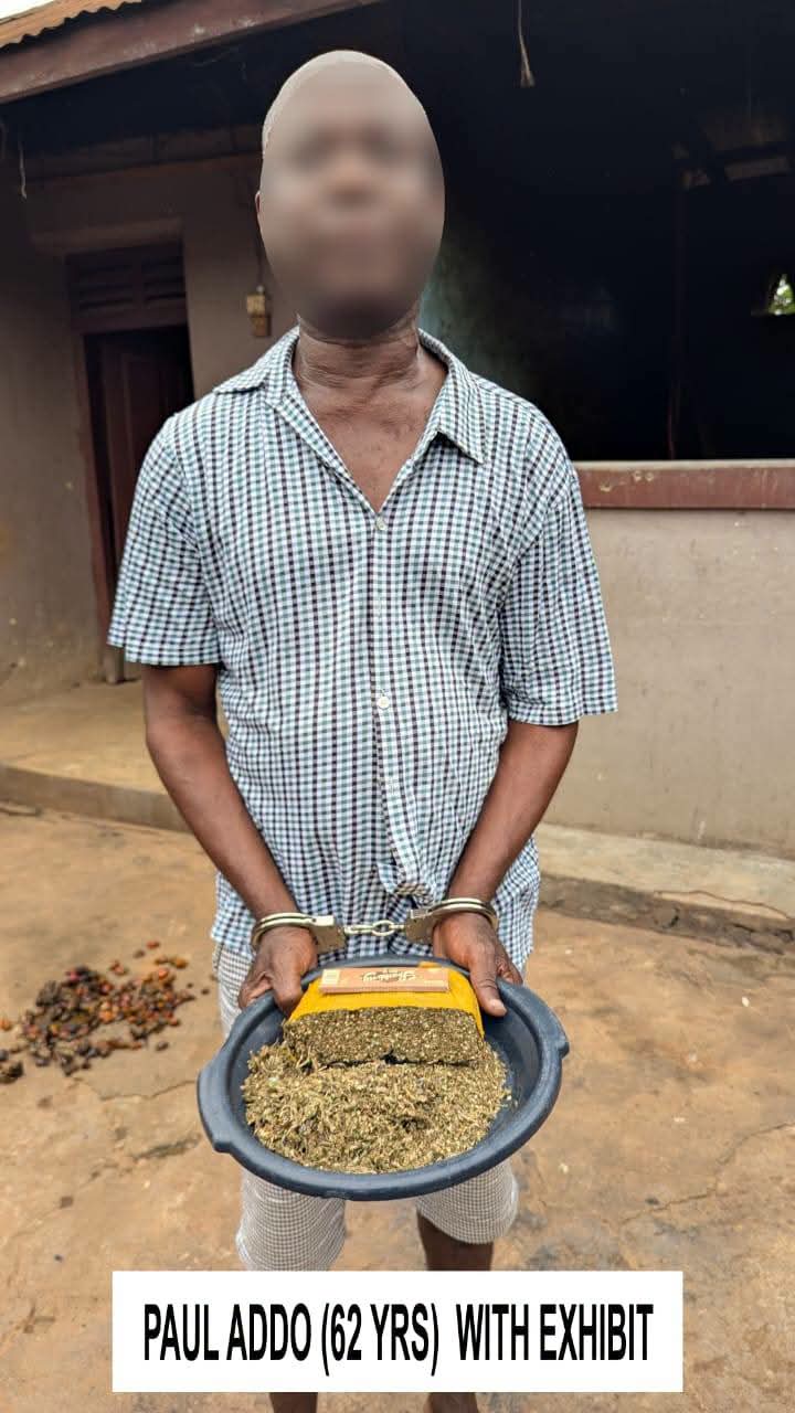 Ghana Police Nab 24 Suspects in Major Intelligence-Led Drug Crackdown
