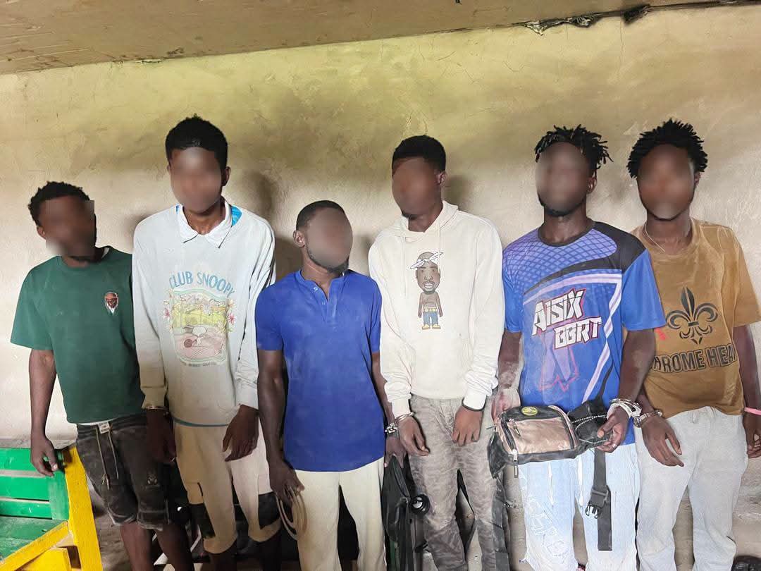 Ghana Police Nab 24 Suspects in Major Intelligence-Led Drug Crackdown