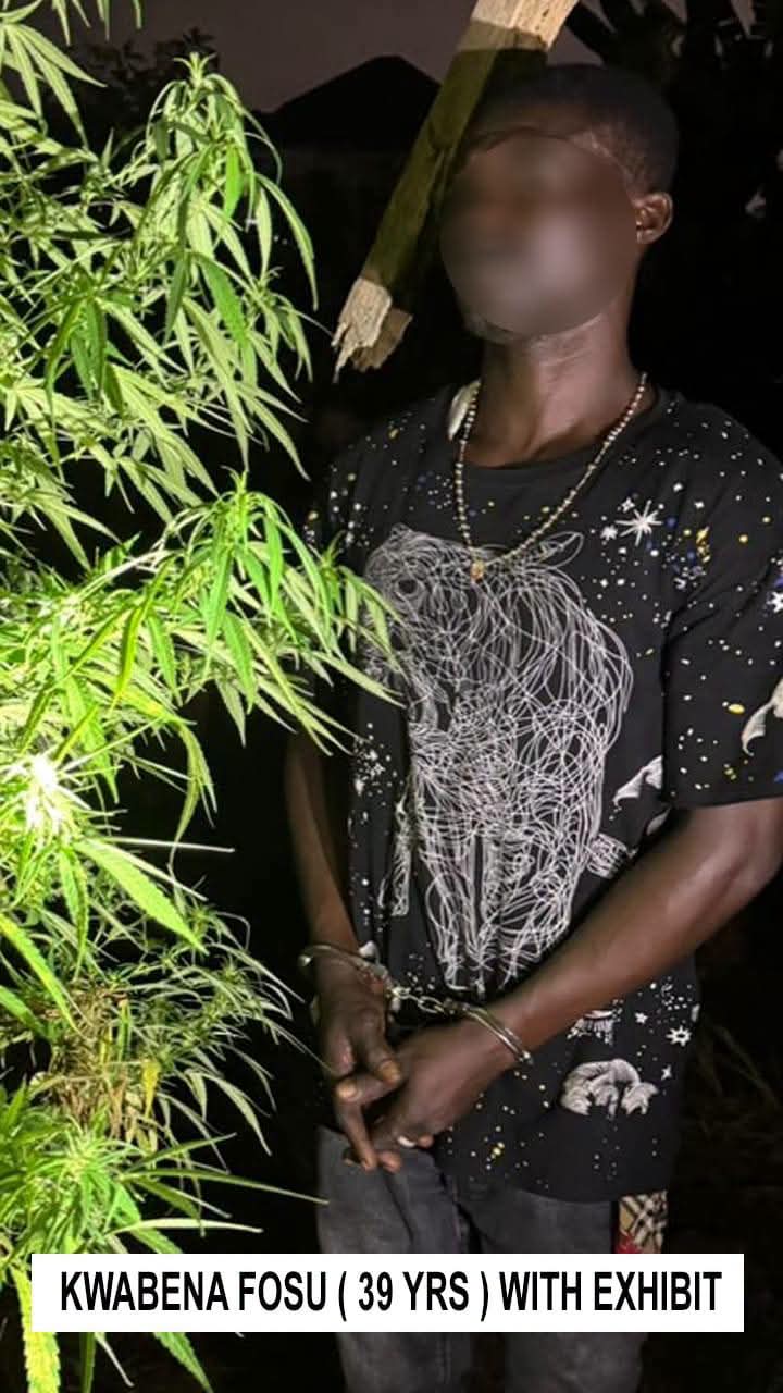 Ghana Police Nab 24 Suspects in Major Intelligence-Led Drug Crackdown