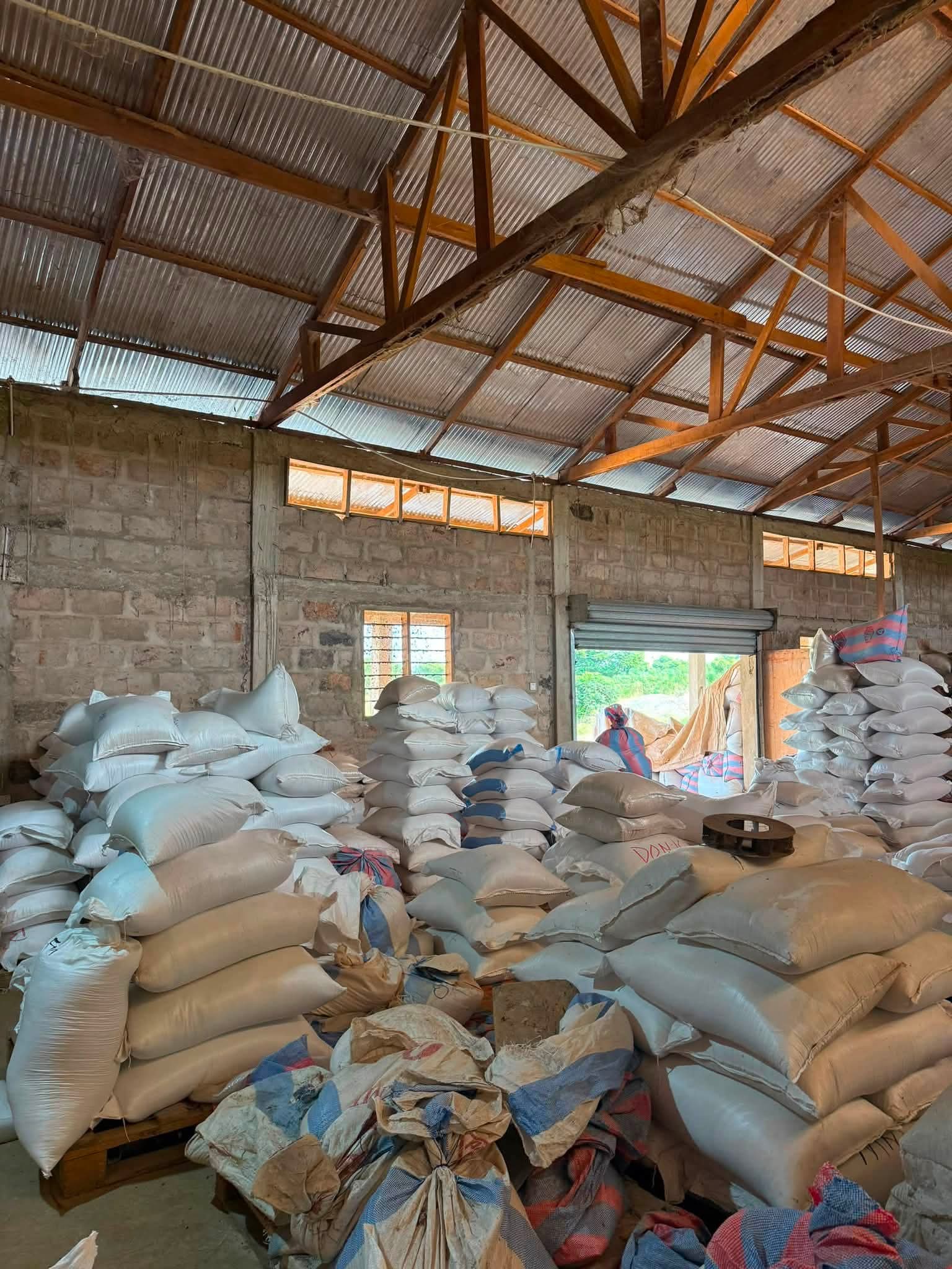 Ketu North MP Hosts Key Agricultural Tour to Unlock Rice Value Chain Potential