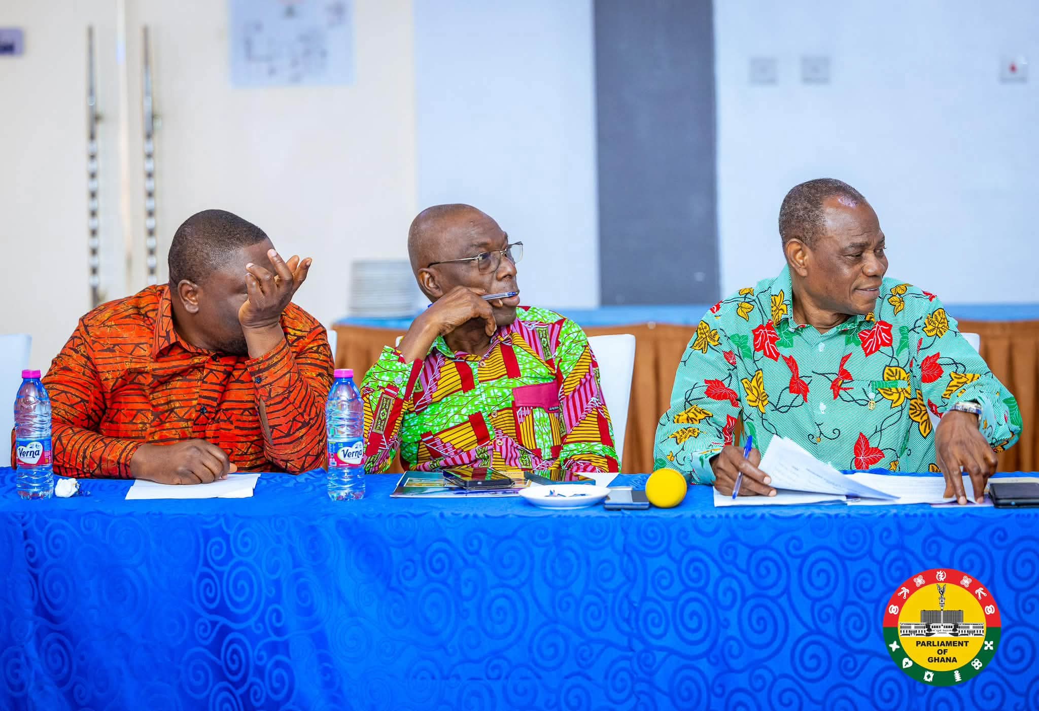Hon. Dzudzorli Gakpey Participates in Parliamentary Caucus Workshop on Persons With Disabilities