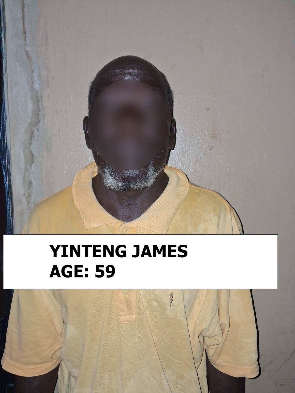 14 Arrested in Nabdam District Over Illegal Drug Cultivation