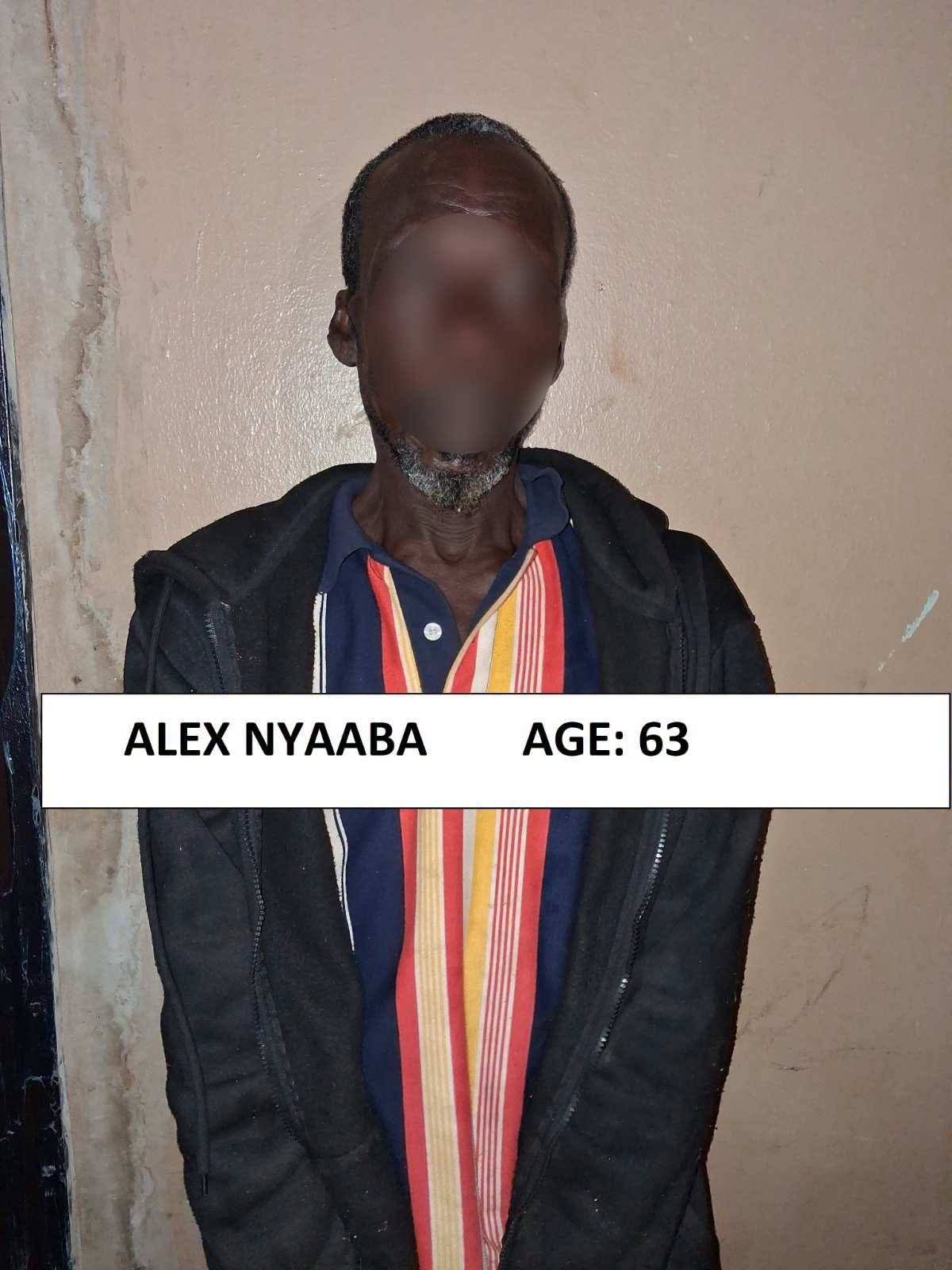 14 Arrested in Nabdam District Over Illegal Drug Cultivation