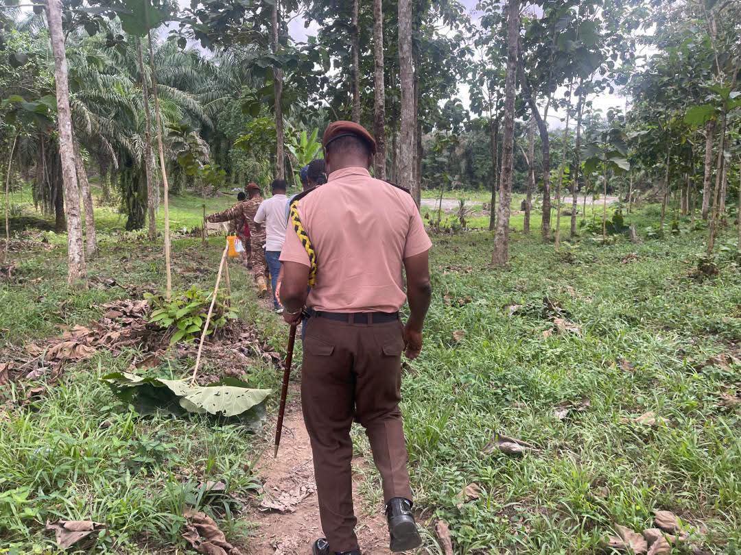 AngloGold Ashanti Equips Obuasi Local Prison with Catfish Fingerlings and Feed