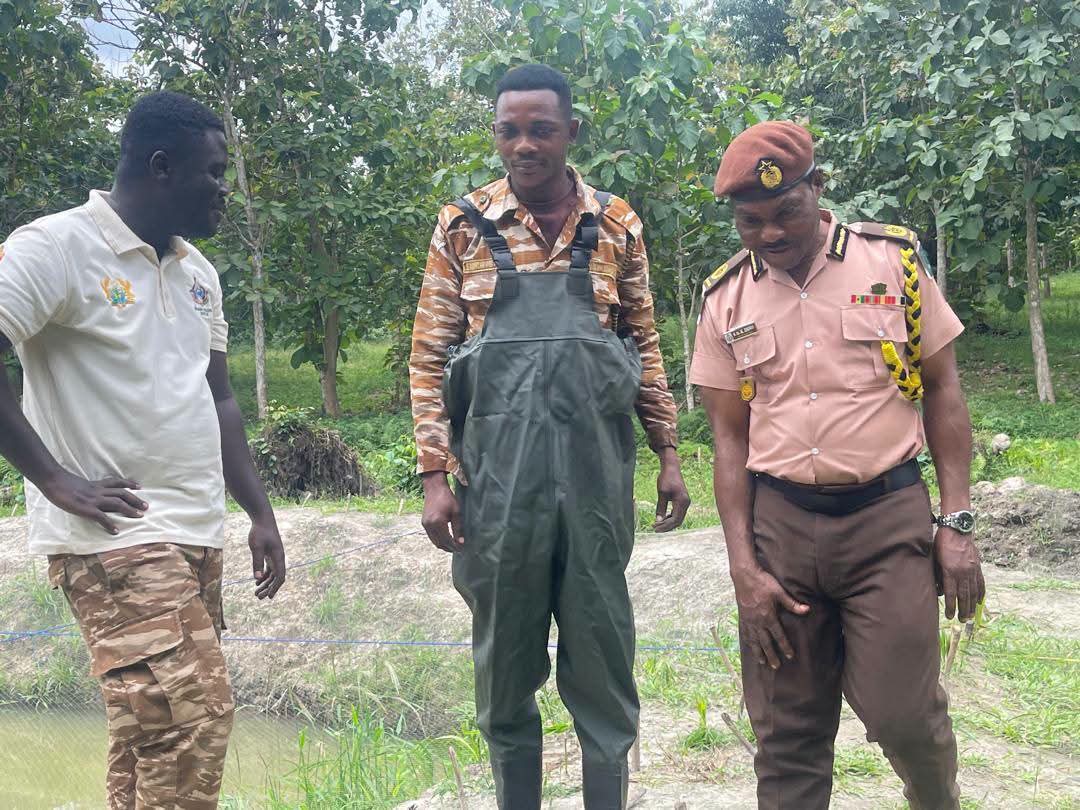 AngloGold Ashanti Equips Obuasi Local Prison with Catfish Fingerlings and Feed