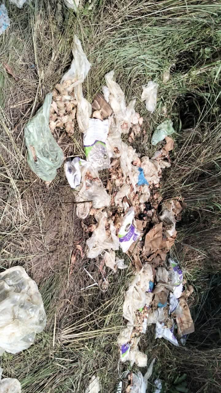 Unauthorized Frozen Chicken Dumped Near Ho Disposed of After Public Health Intervention