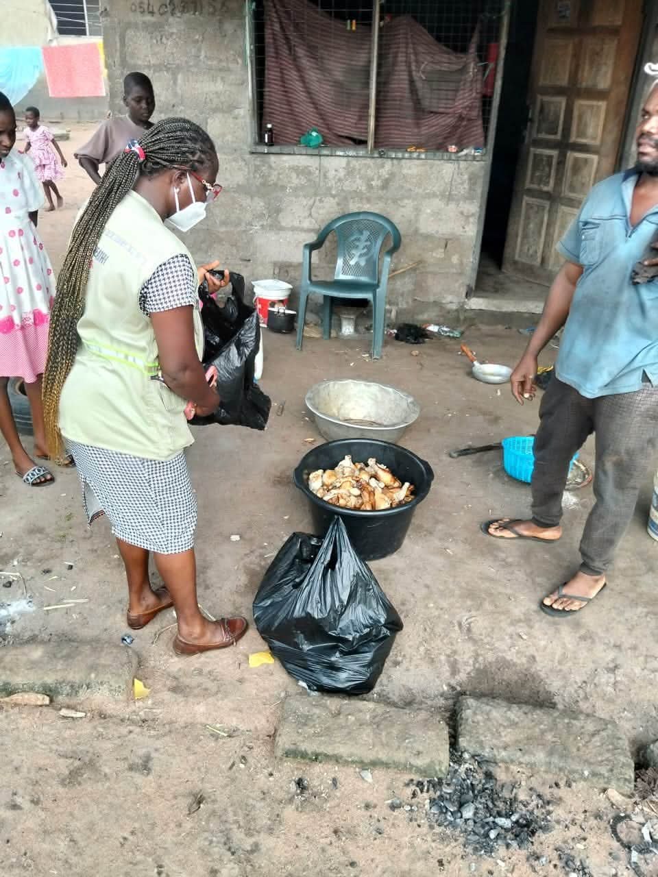Unauthorized Frozen Chicken Dumped Near Ho Disposed of After Public Health Intervention