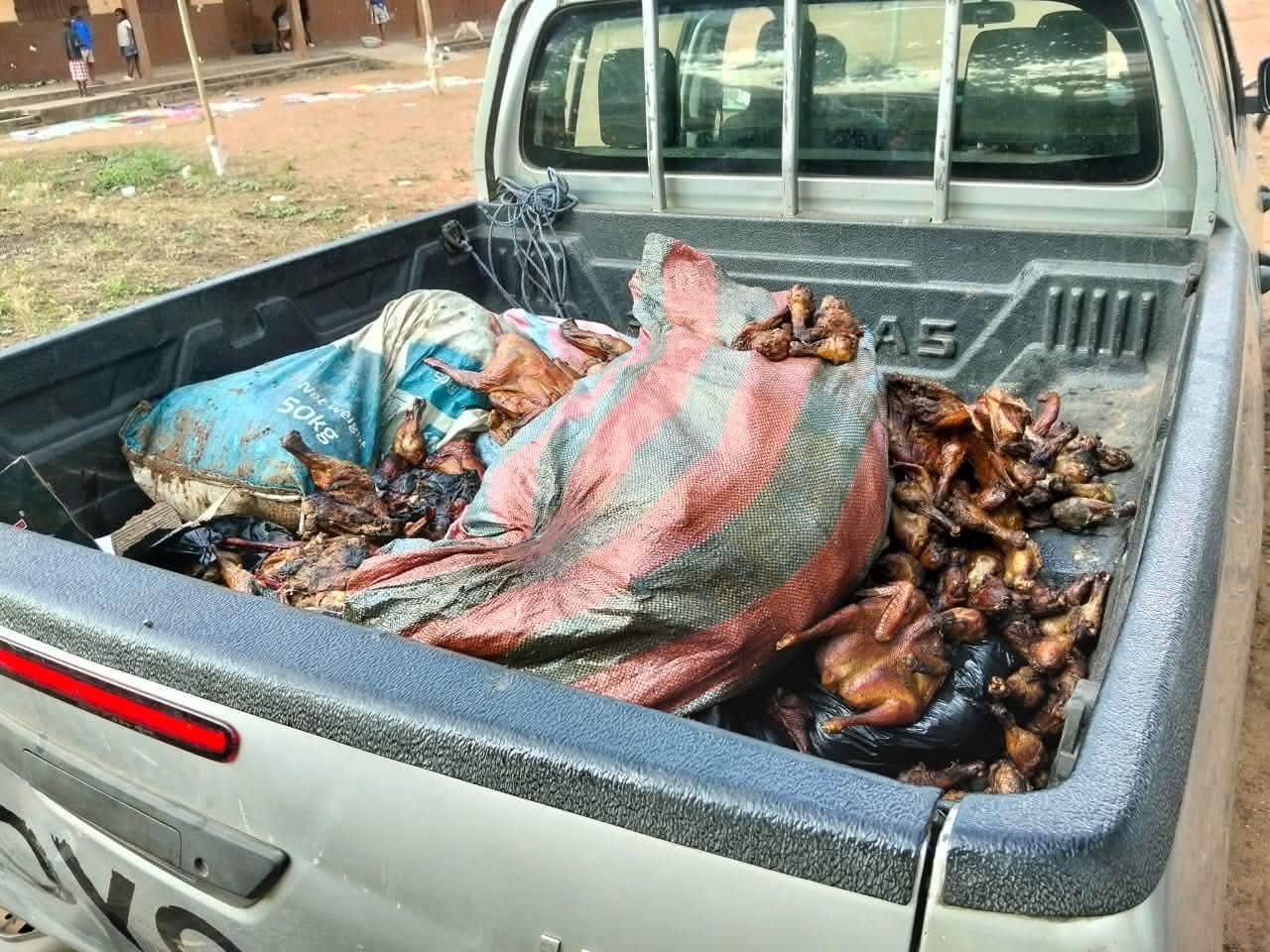 Unauthorized Frozen Chicken Dumped Near Ho Disposed of After Public Health Intervention