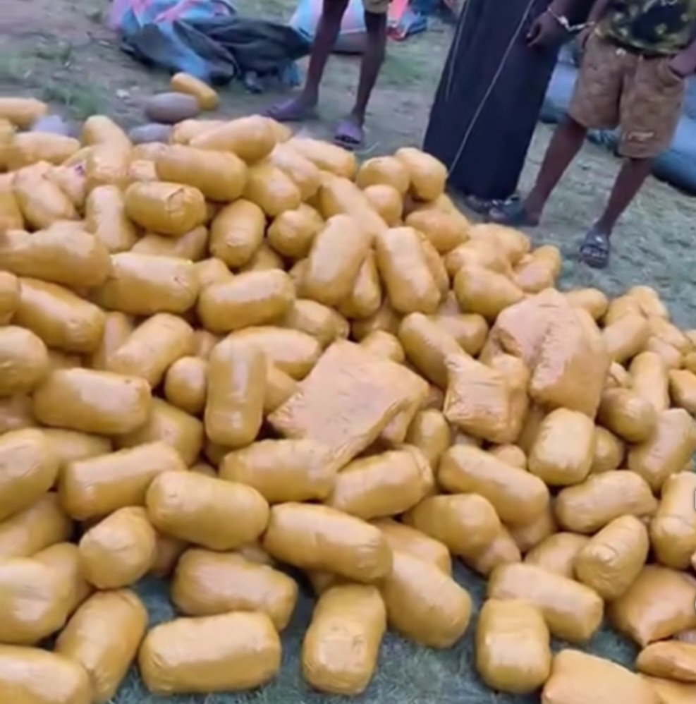Tema Regional PID Team Seizes Suspected Narcotics, Arrests Suspects in Nkonya Operation