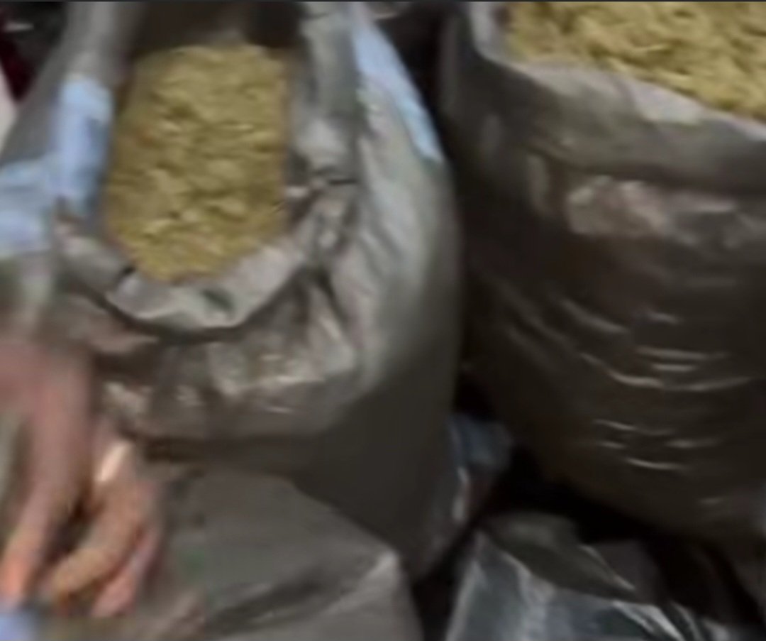 Tema Regional PID Team Seizes Suspected Narcotics, Arrests Suspects in Nkonya Operation