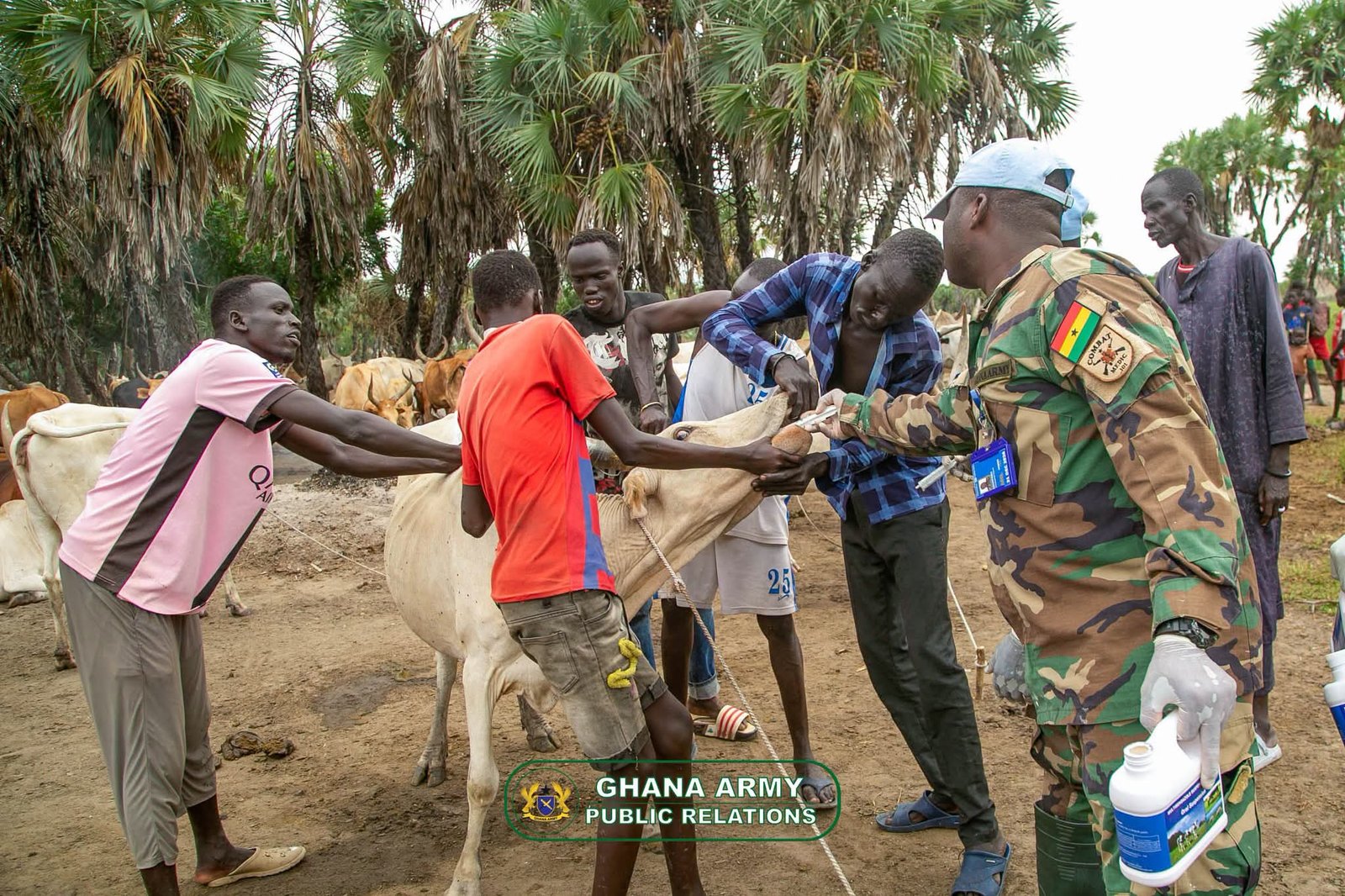 GHANBATT 13 Veterinary Outreach Delivers Vital Livestock Care in South Sudan