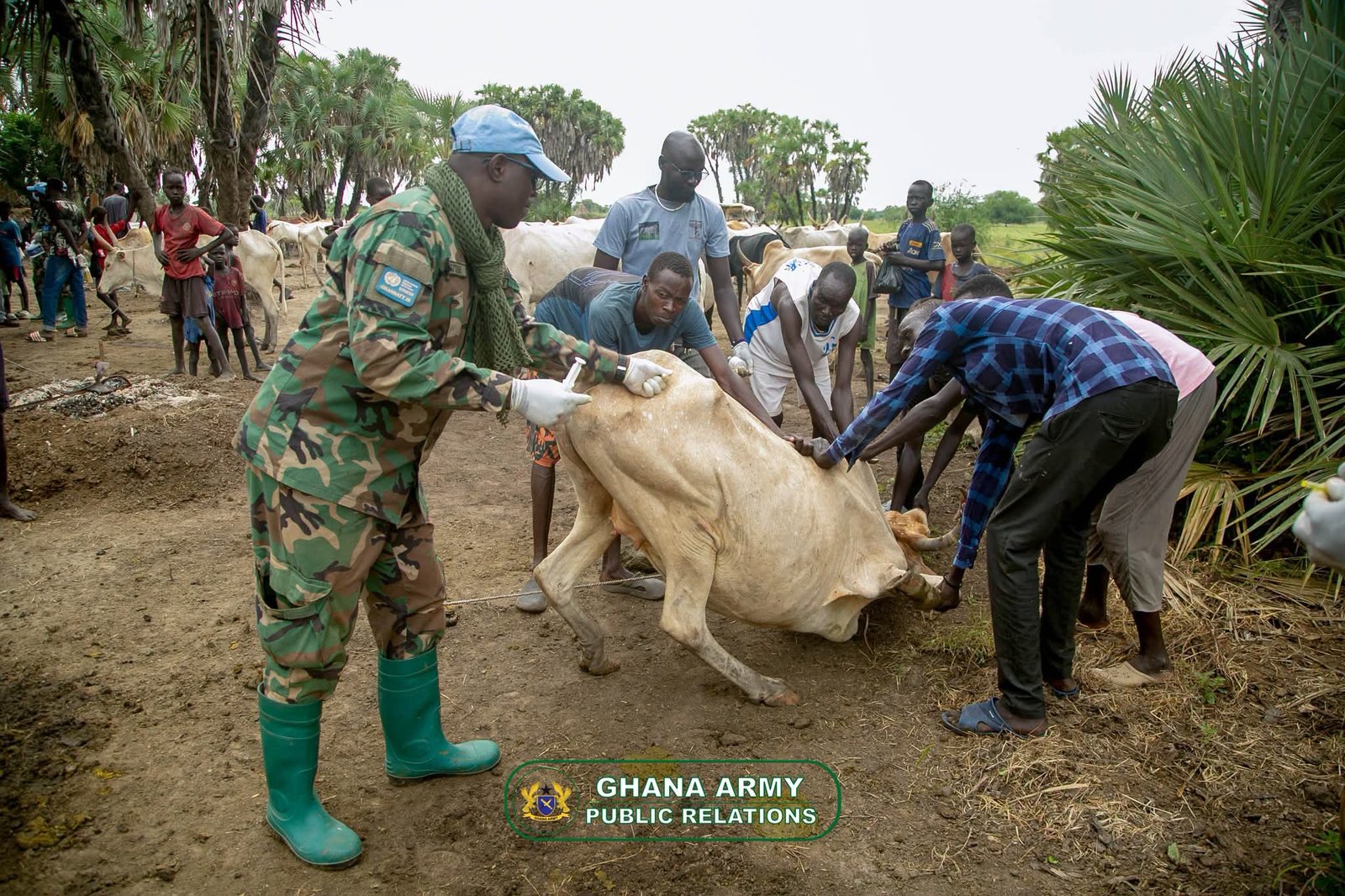 GHANBATT 13 Veterinary Outreach Delivers Vital Livestock Care in South Sudan
