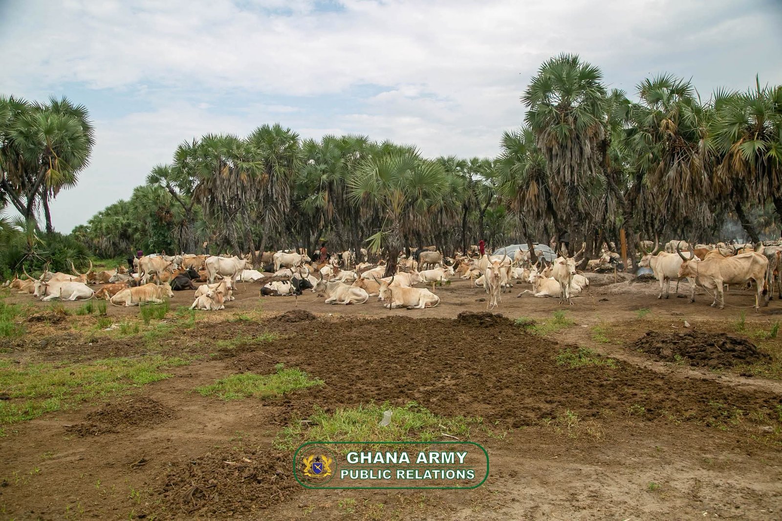 GHANBATT 13 Veterinary Outreach Delivers Vital Livestock Care in South Sudan