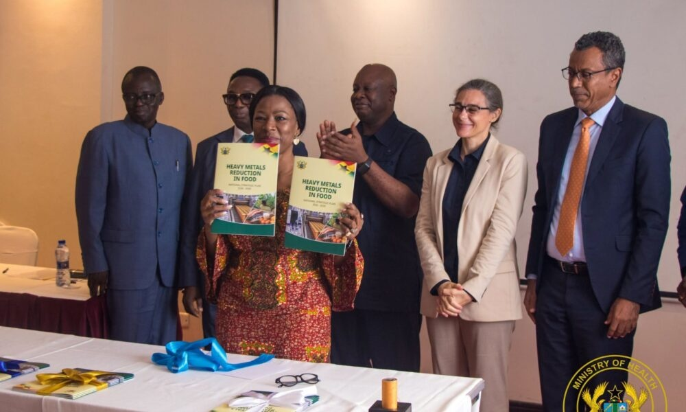 Ghana Launches Five-Year National Plan to Combat Heavy Metals in Food Supply