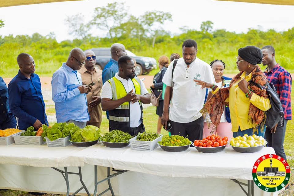 Parliamentary Sanitation Committee Inspects Ho Integrated Recycling Plant