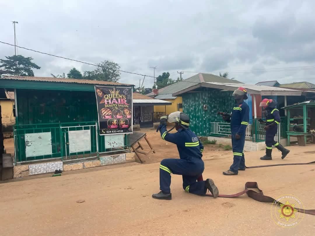 GNFS Team Safely Relocates Bee Swarm to Avert Danger in Okorase