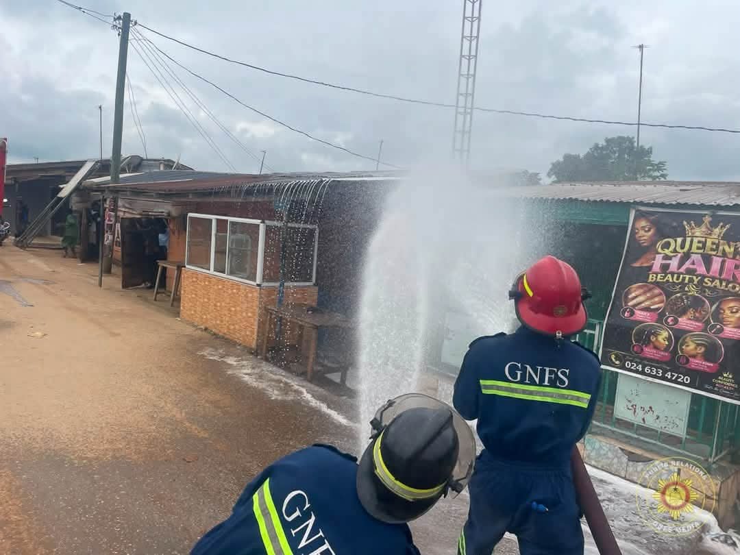 GNFS Team Safely Relocates Bee Swarm to Avert Danger in Okorase