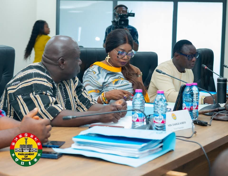 Local Government Committee Vice Chair Urges Stricter Monitoring of PWD Funds