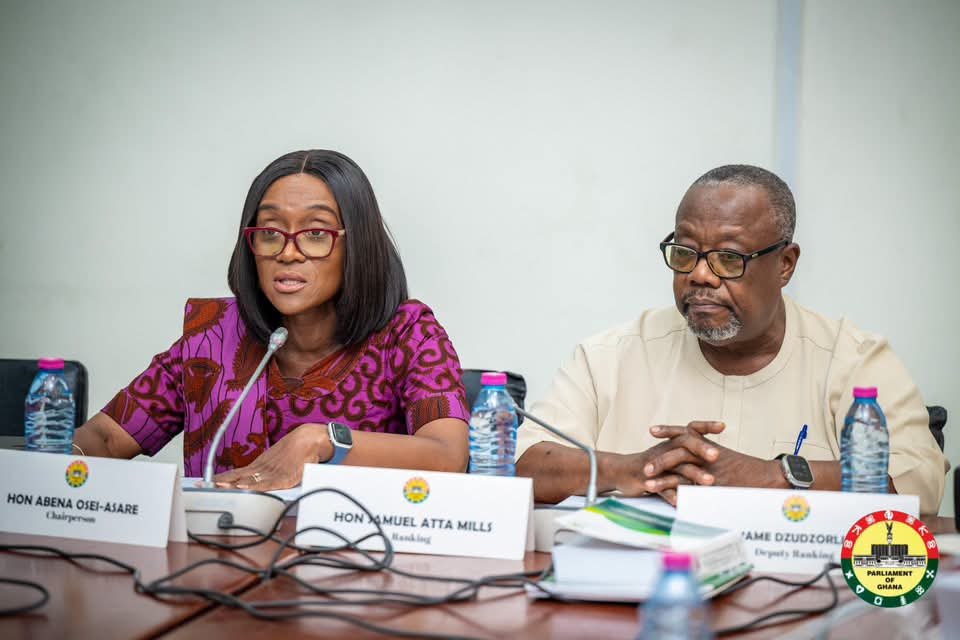 Public Accounts Committee Directs Health Institutions to Recover Owed Monies as Committee Settles Street Mental Health Debts