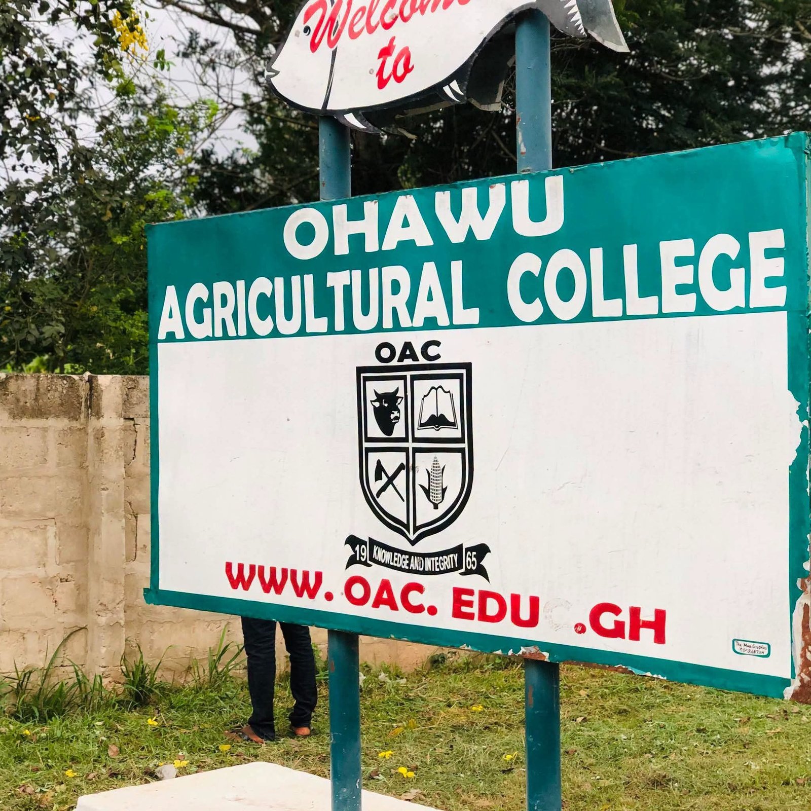 Ministerial Committee to Inspect Facilities at Ohawu Agricultural College Ahead of University Upgrade