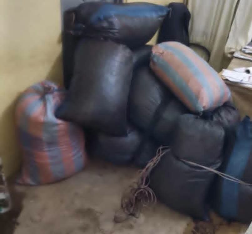 Kpando Marine Police Arrest 31-Year-Old Man over Illegal Cannabis Cultivation in Central Tongu